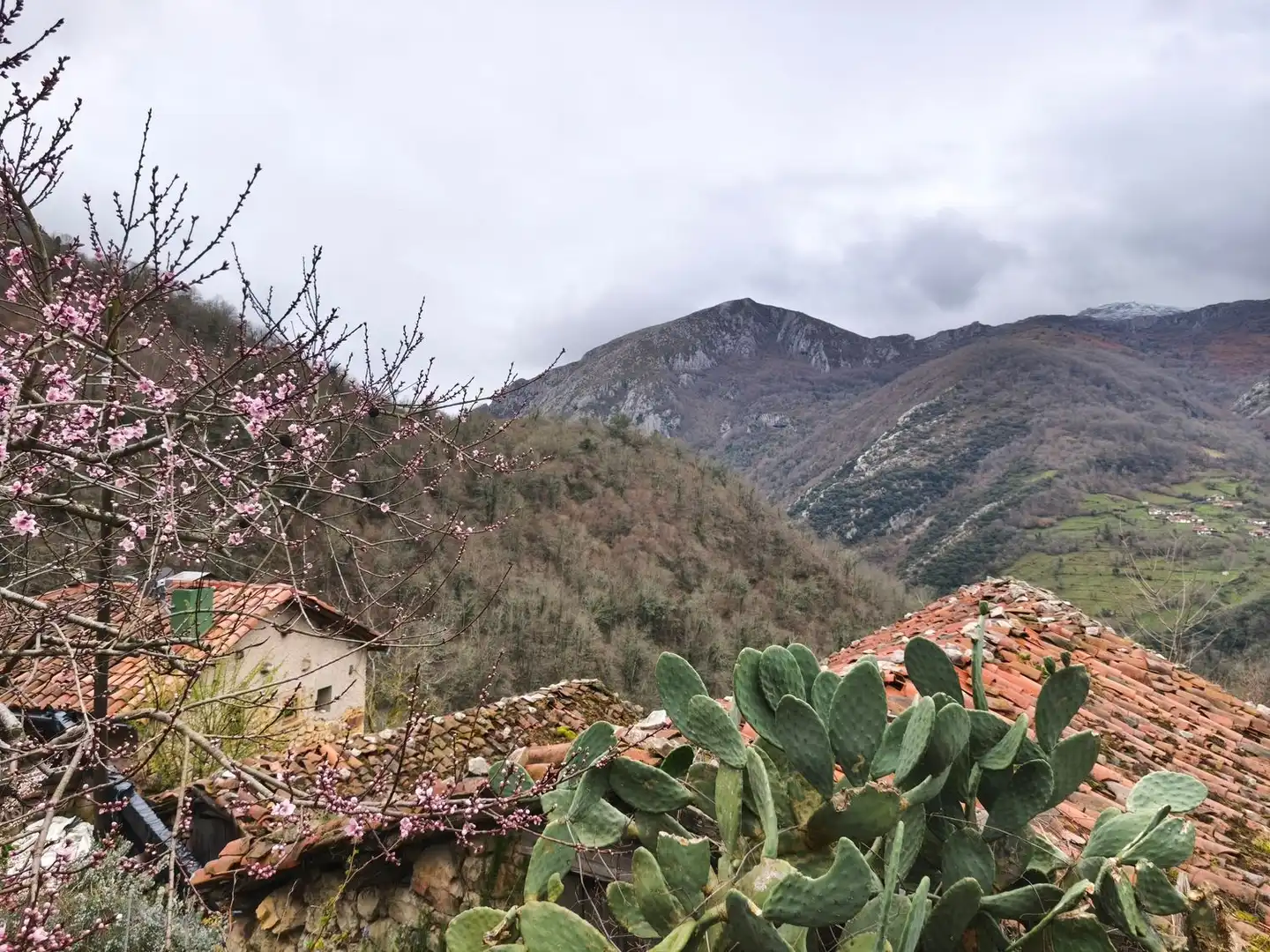 Vista exterior de Casa o chalet en venta en Proaza con Piscina