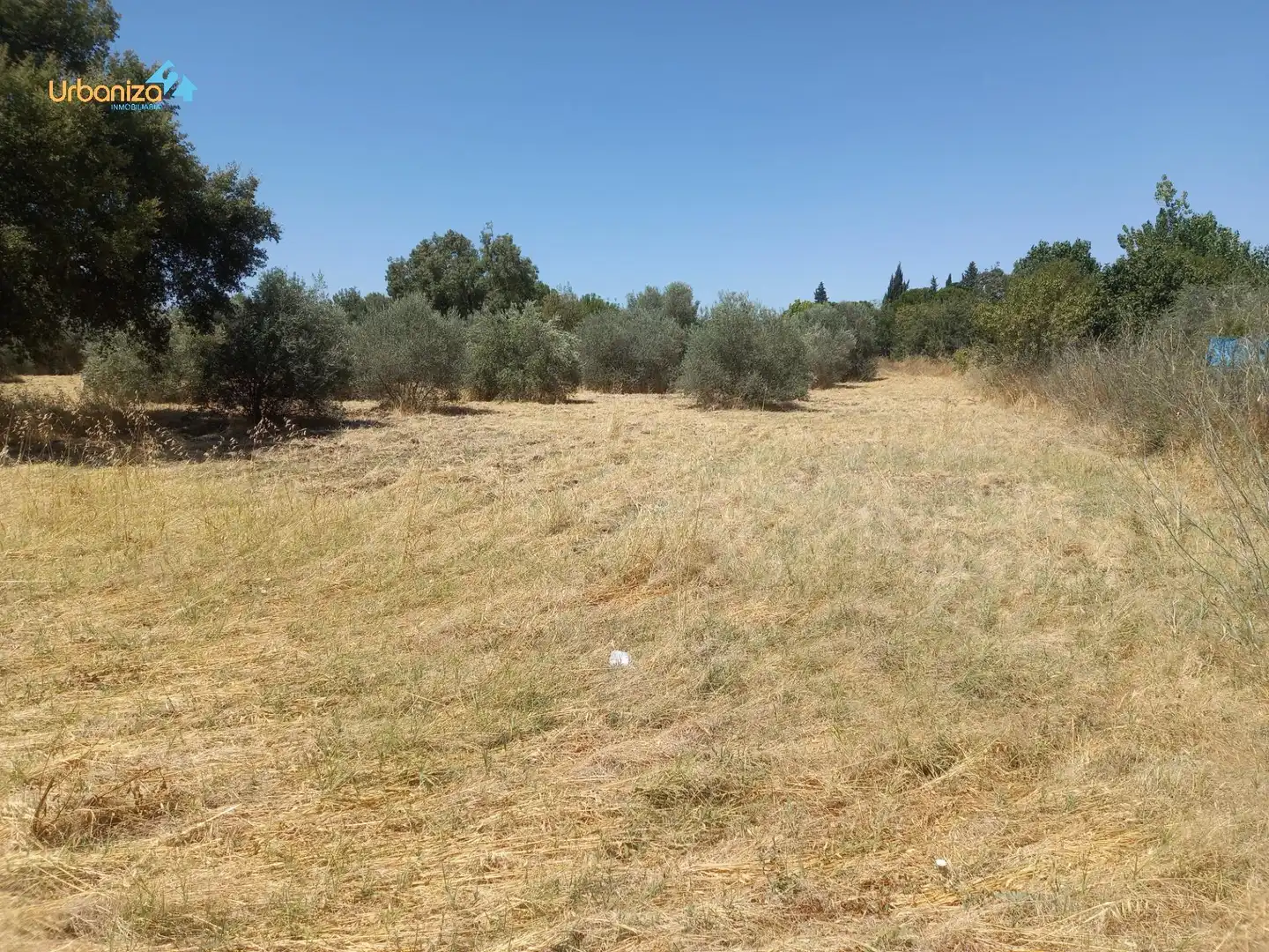 Terreni e lotti in vendita a Dehesilla de Calamón - Campomanes, imagen 3