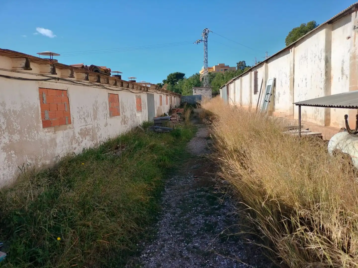 Exterior view of Industrial buildings for sale in Castellón de la Plana / Castelló de la Plana