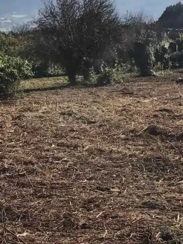Terreni e lotti in vendita a Ru Estrada Castela, imagen 8