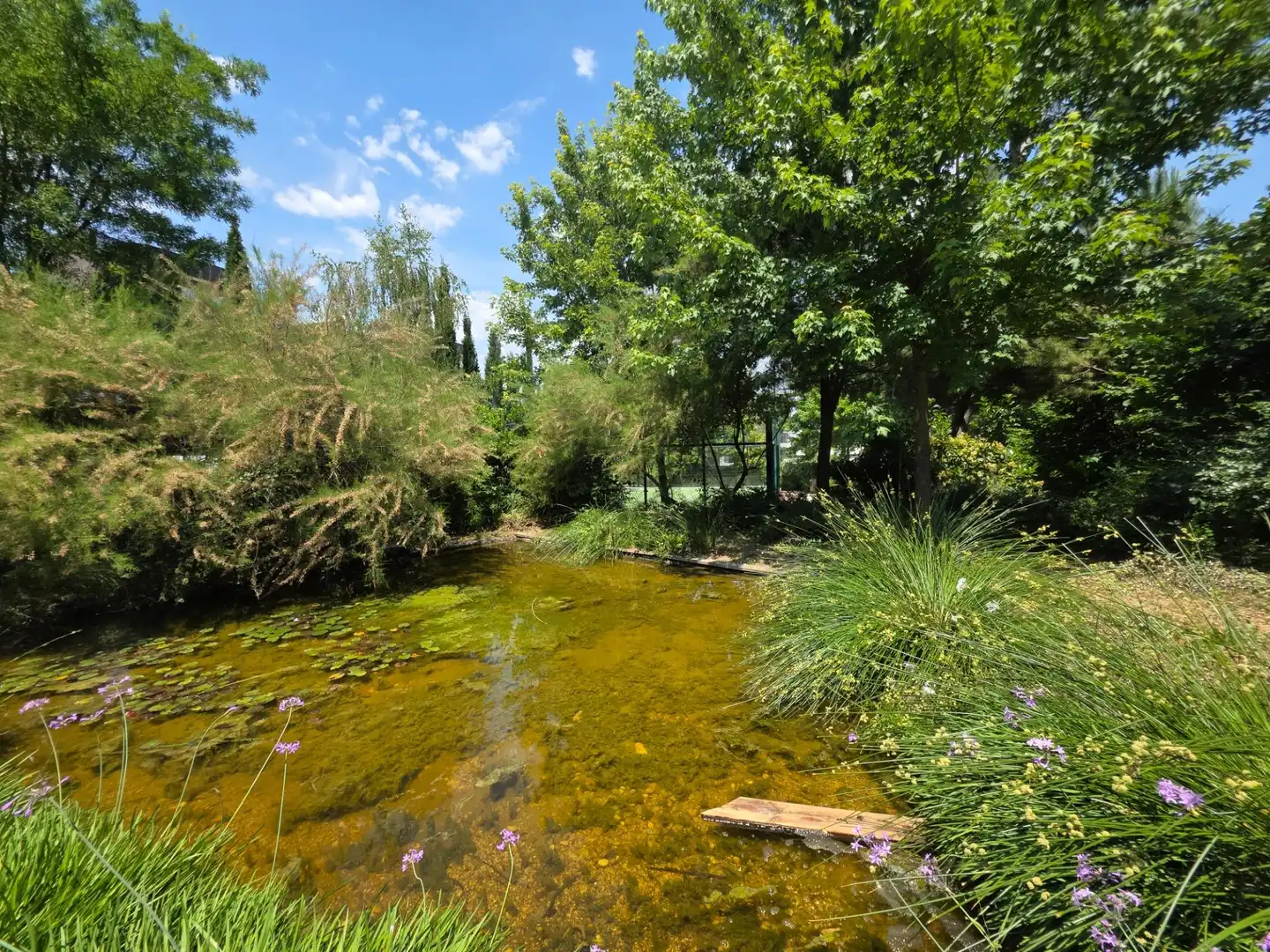 Jardí de Àtic en venda en Pozuelo de Alarcón amb Calefacció, Jardí privat i Terrassa