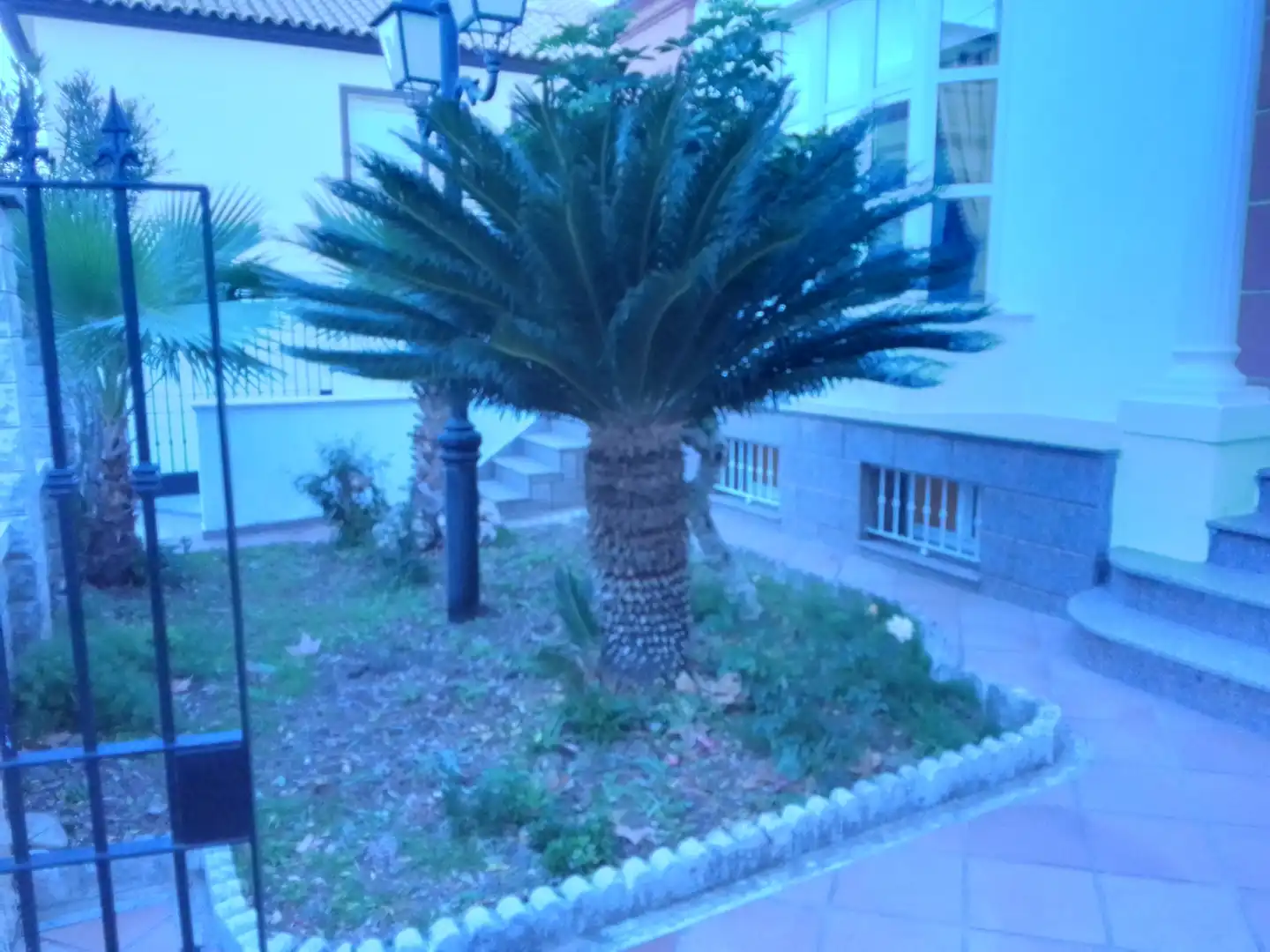 Jardín de Casa o chalet en venta en Prado del Rey con Jardín privado, Terraza y Amueblado