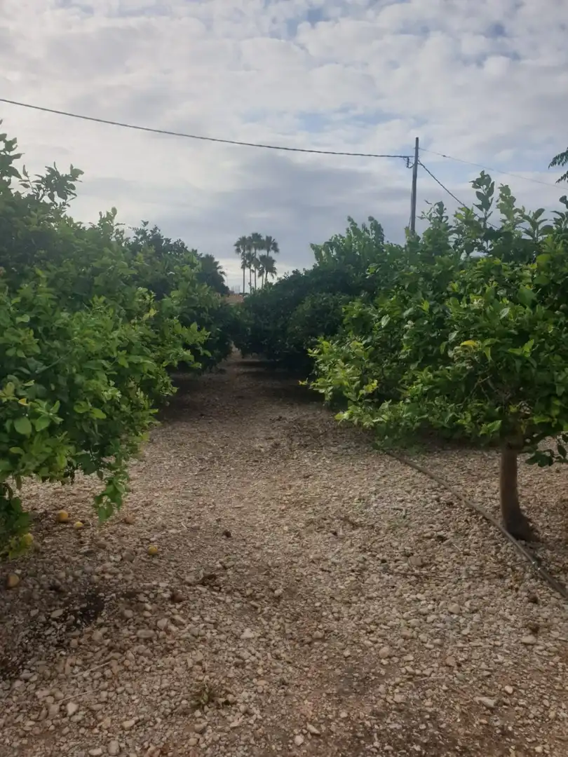 Finca rústica en venda en Vinaròs amb Jardí privat, Traster i Piscina