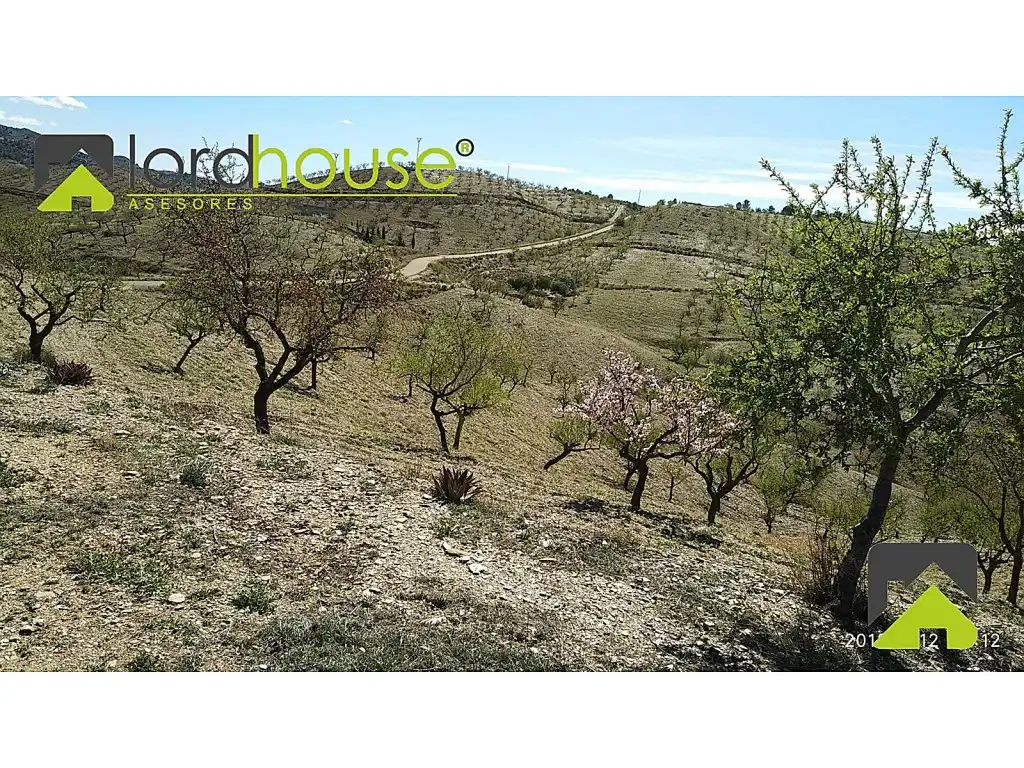 Finca rústica en venta en Lorca