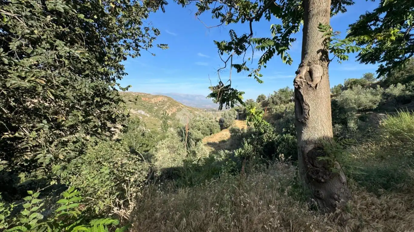 Vista exterior de Casa o chalet en venta en Alpujarra de la Sierra con Aire acondicionado, Trastero y Amueblado