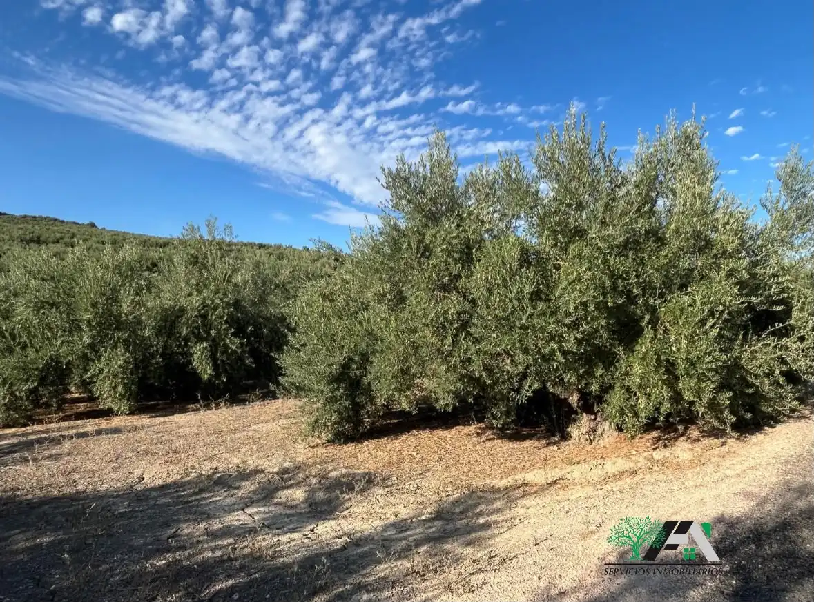 Terreno industrial en venta en Úbeda