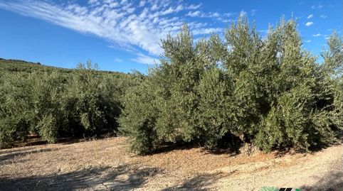 Terreno en venta en Huerta del A. Vallejo s/n, Ubeda.