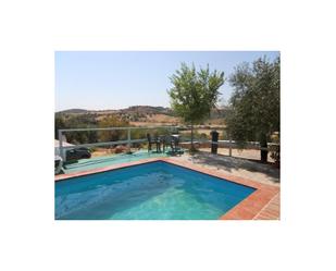 Swimming pool of House or chalet for sale in Puerto Serrano