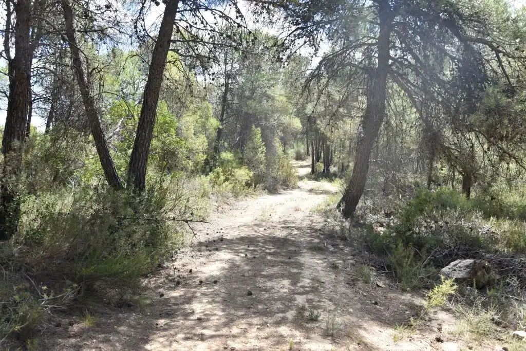 Terreni e lotti in vendita a Arens de Lledó, imagen 8