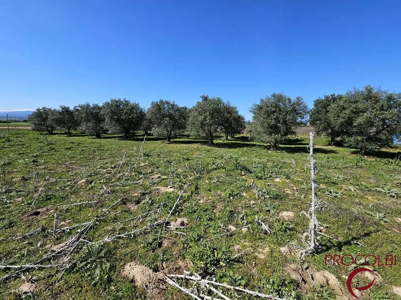 Terreno en venta en Valdeolmos-Alalpardo