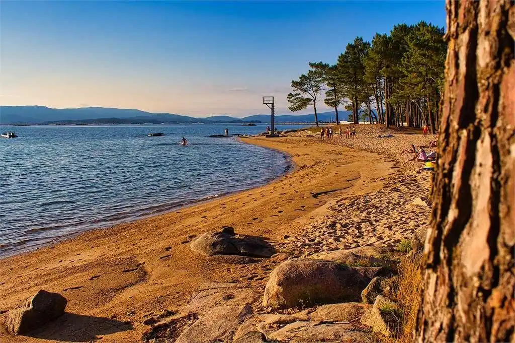 Locale commerciale in vendita a Vilanova de Arousa, imagen 10