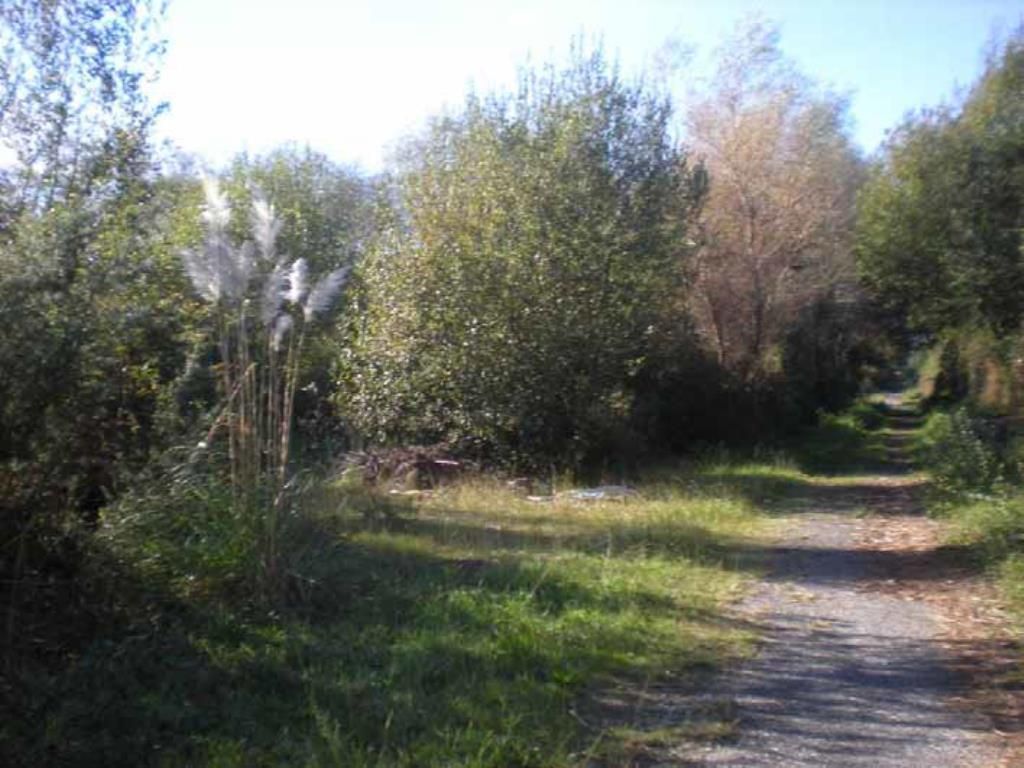 Terreno en venta en Sanxenxo