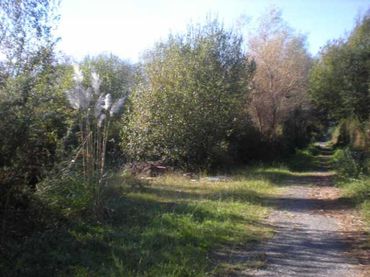Terreno rústico en venta en TOMBO