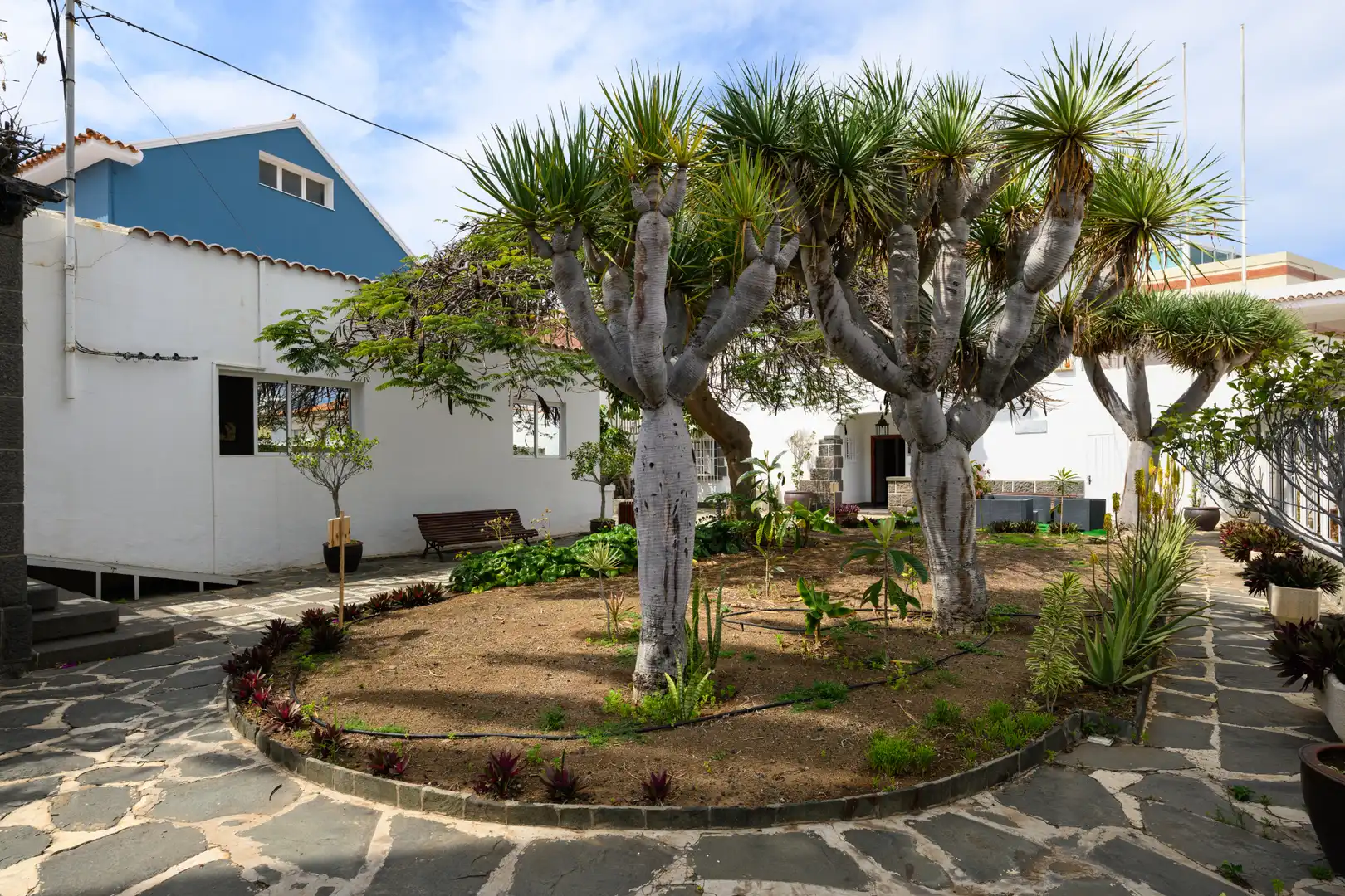 Jardí de Casa o xalet en venda en Las Palmas de Gran Canaria amb Aire condicionat, Jardí privat i Terrassa