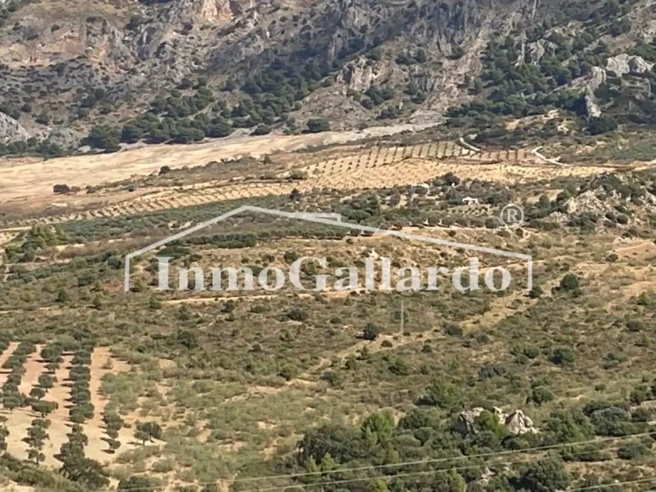 Terreni e lotti in vendita a Casarabonela, imagen 2