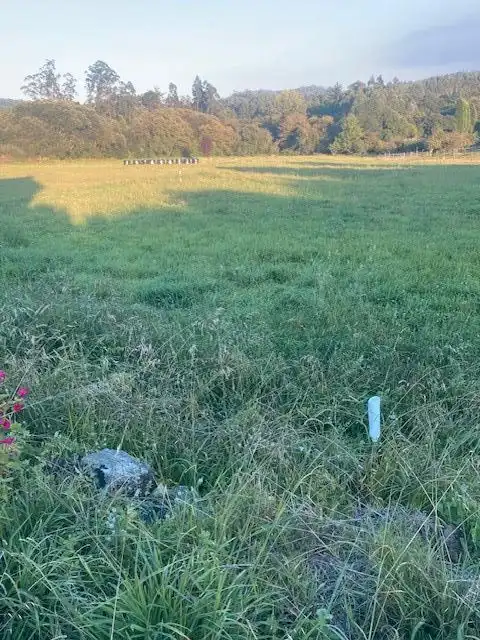 Wohnbaugrundstück zum Verkauf in Areosa 4, imagen 6