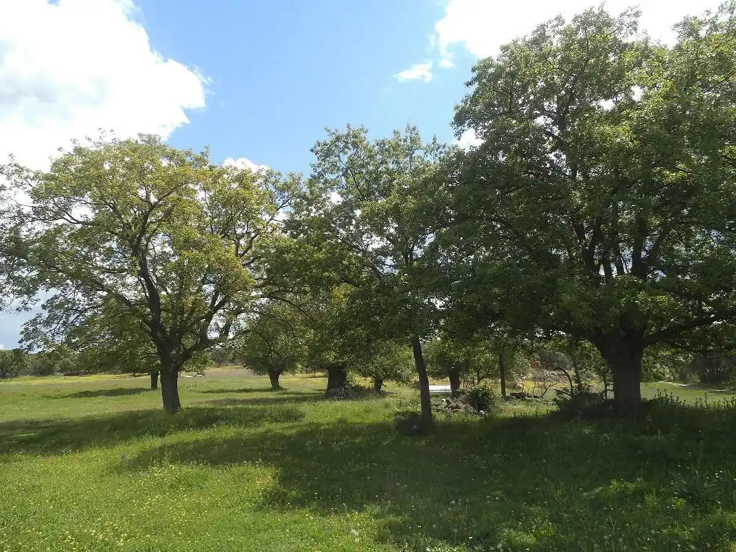 Residencial en venda en Valdemorillo