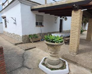 Exterior view of House or chalet to rent in Conil de la Frontera  with Air Conditioner, Furnished and Washing machine