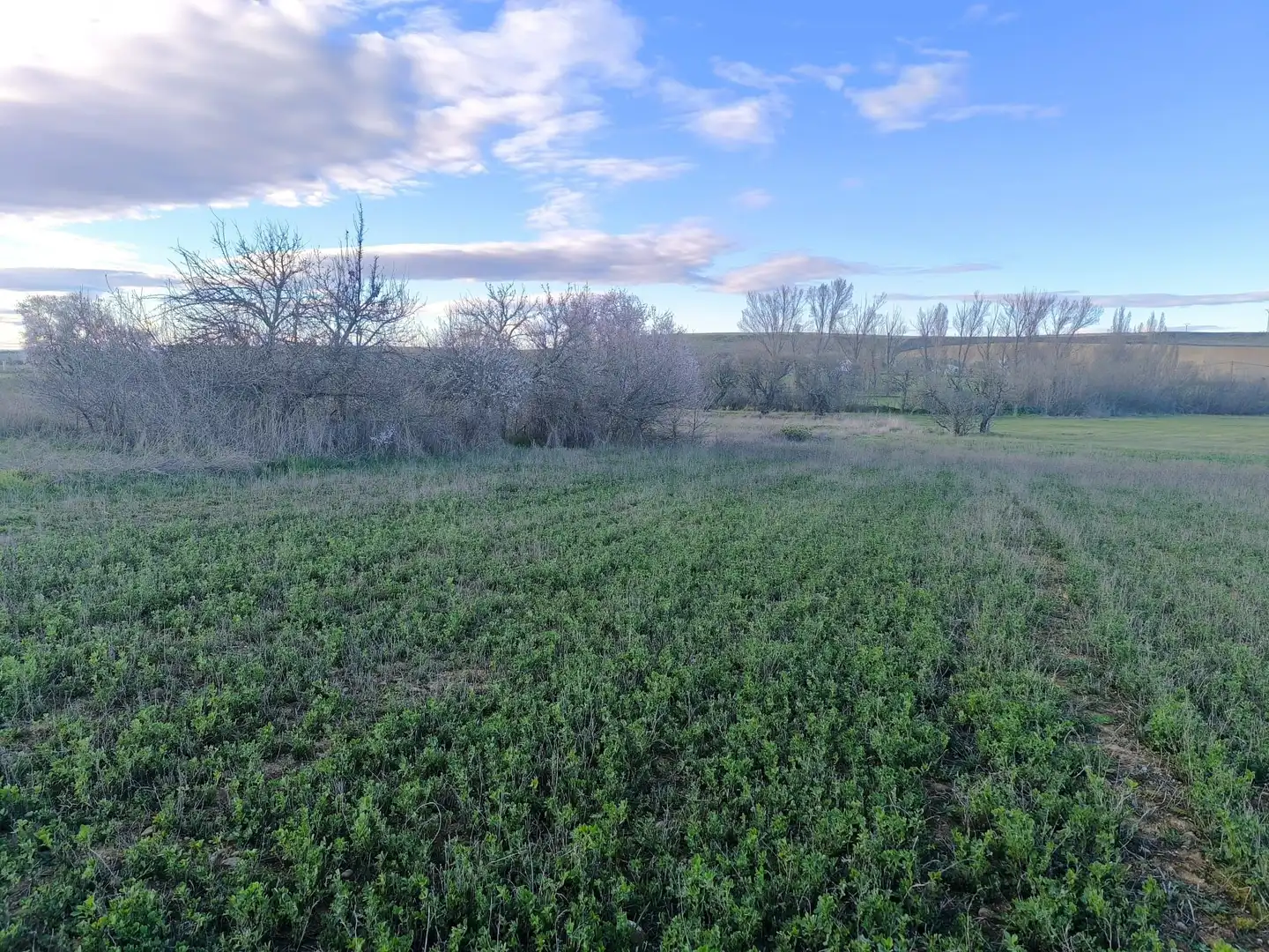 Terreno en venta en Pajares de los Oteros