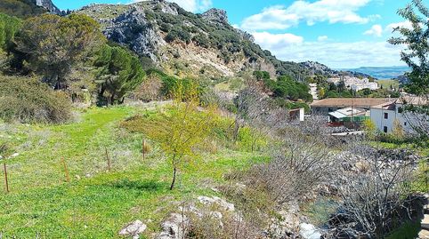 Finca ideal para construir tu casa.