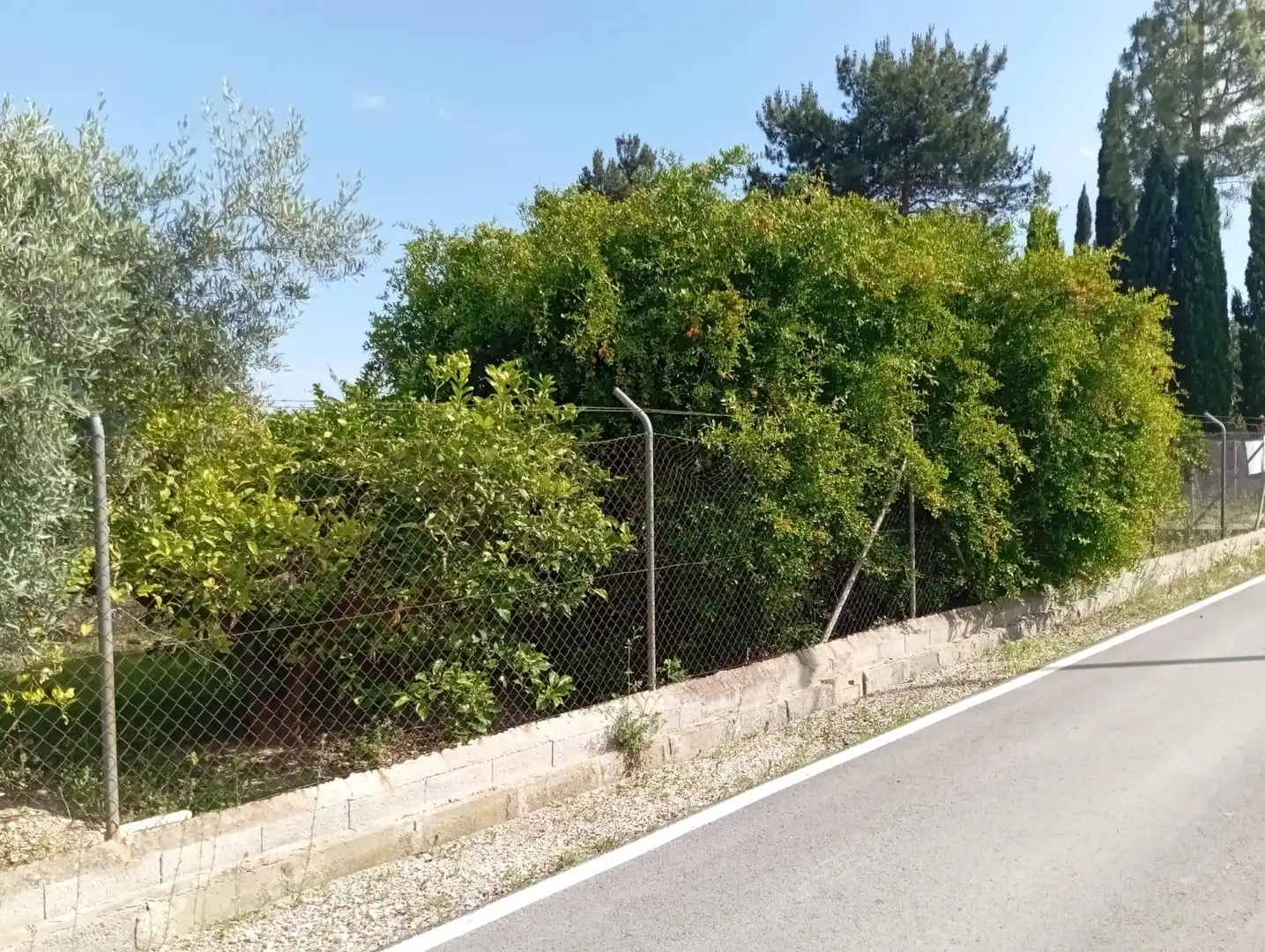 Wohnbaugrundstück zum Verkauf in Barrio la Loma, imagen 4