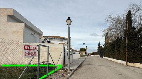 SE VENDE SOLAR EN MANCHA REAL, immagine 5