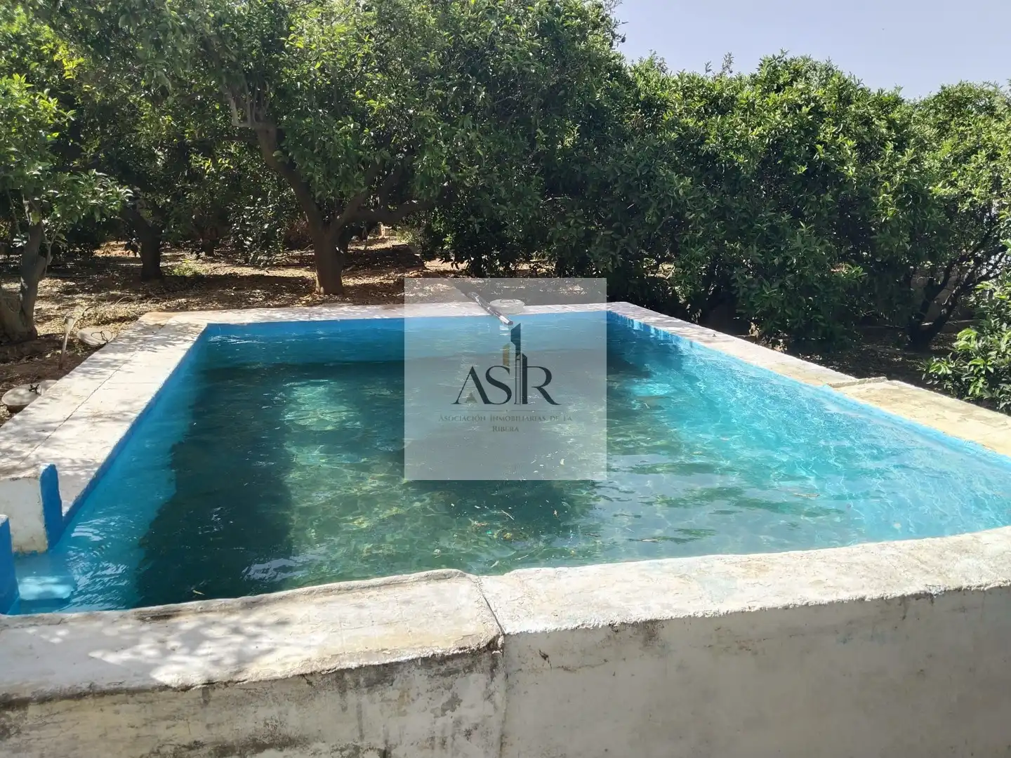 Swimming pool of Houses for sale in Alzira  with Terrace, Storage room and Swimming Pool