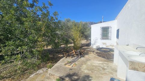 Photo 5 of Country homes for sale in Polígono 6 Parcela 206 Codonyol. Alcanar [tarrago, Alcanar, Tarragona