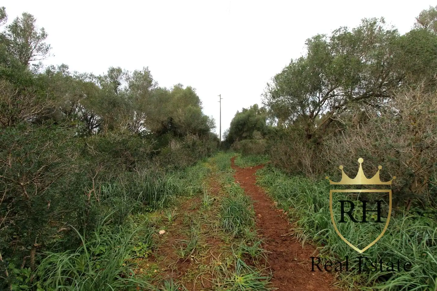 Lands and plots for sale in POLIGONO 49 PARCELA 3, imagen 20