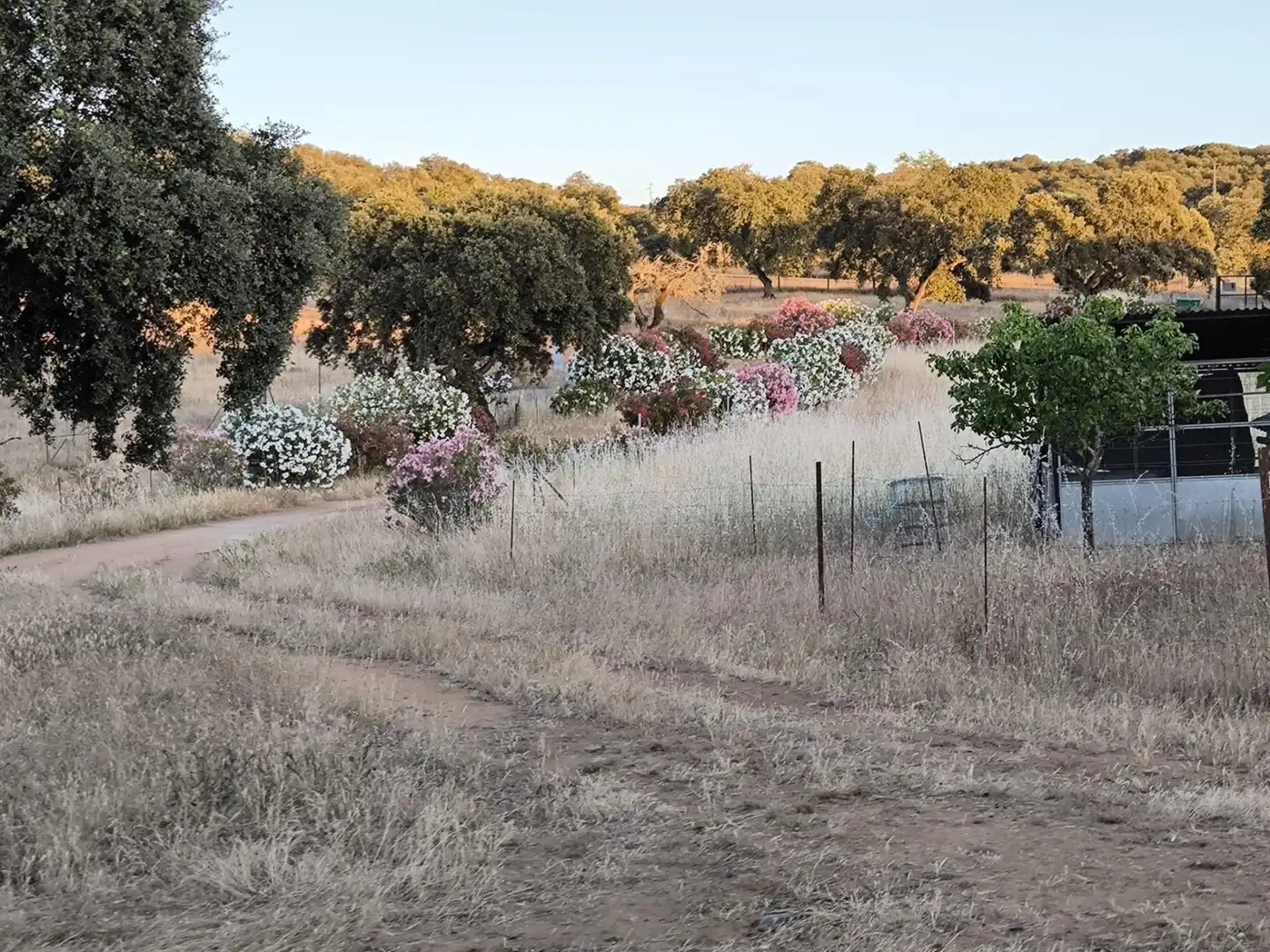 Rural land for sale in Fuente Obejuna, imagen 60