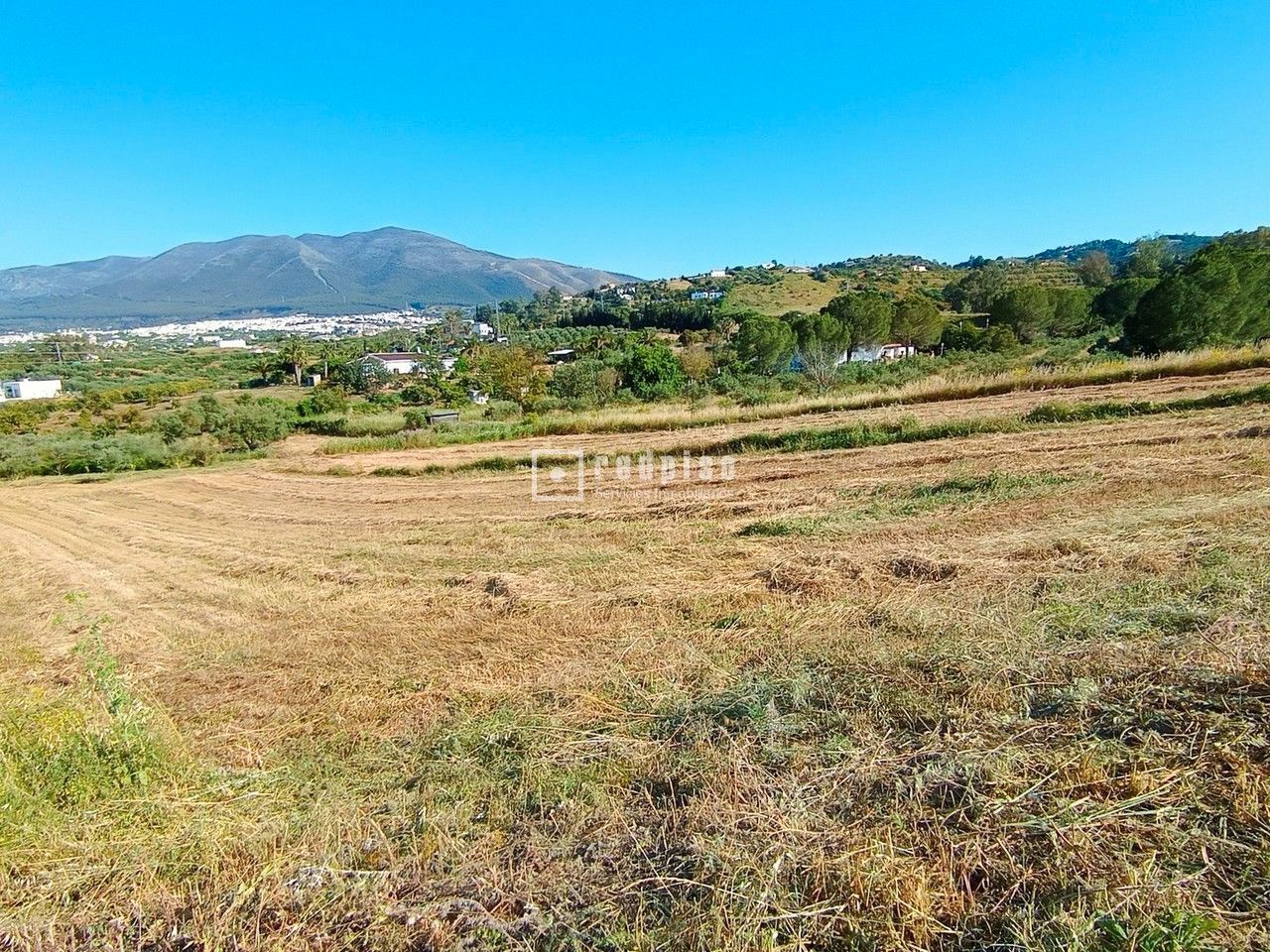 Terreny industrial en venda en Coín