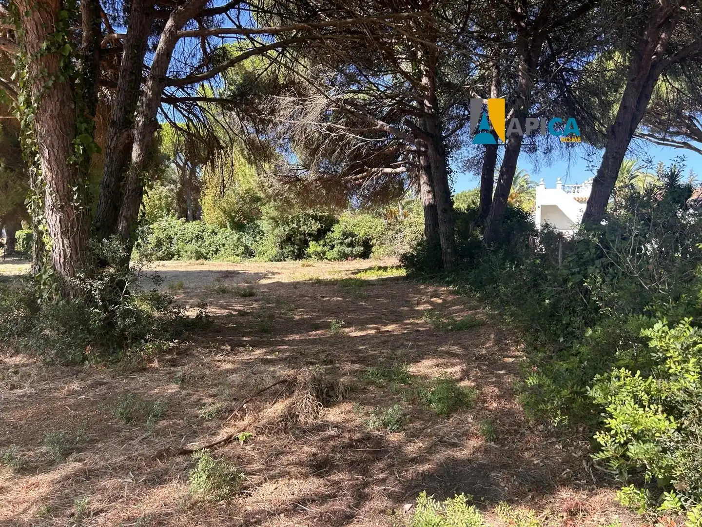 Terrenys i solars en venda a La Banda - Campo de Fútbol, imagen 15
