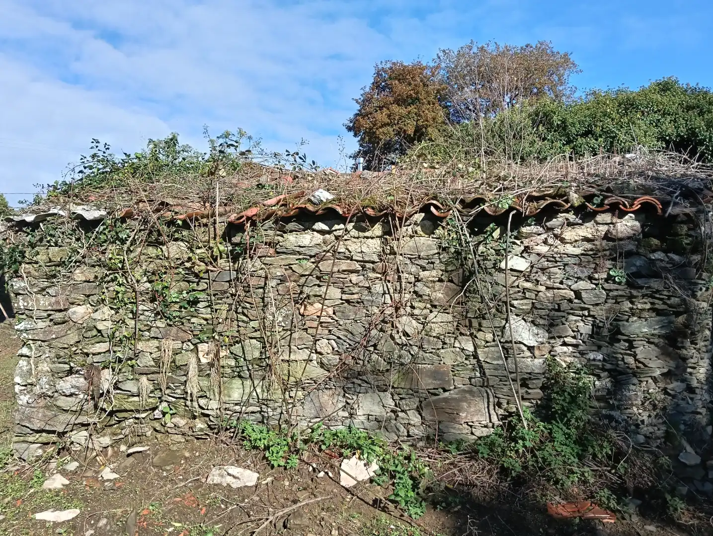 Maison à vendre à Cesuras, imagen 3