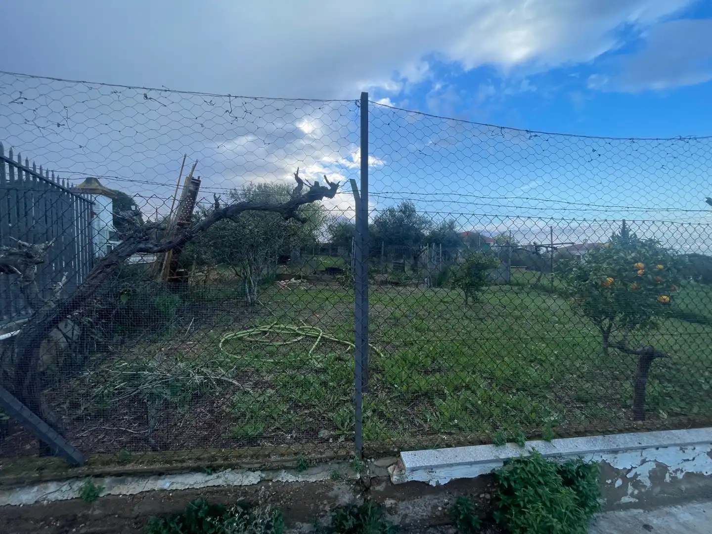 Terreni e lotti in vendita a Calle Codorniz, imagen 13