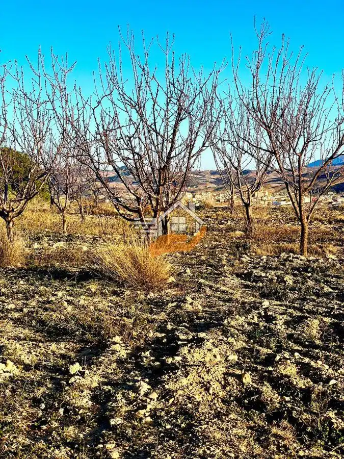 Residential land for sale in Vélez-Rubio, imagen 11