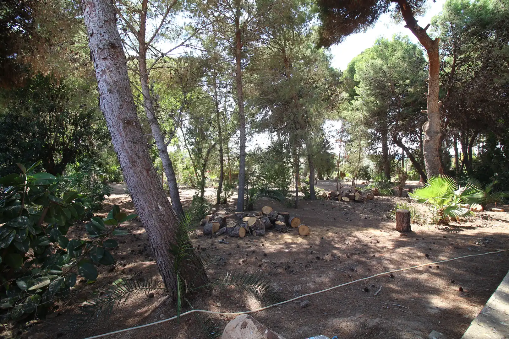 Jardín de Finca rústica en venta en Cartagena con Aire acondicionado, Jardín privado y Terraza