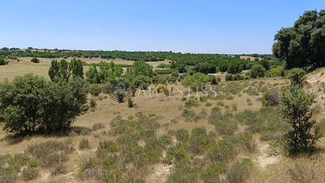 Terreno en venta en La Torre de Esteban Hambrán