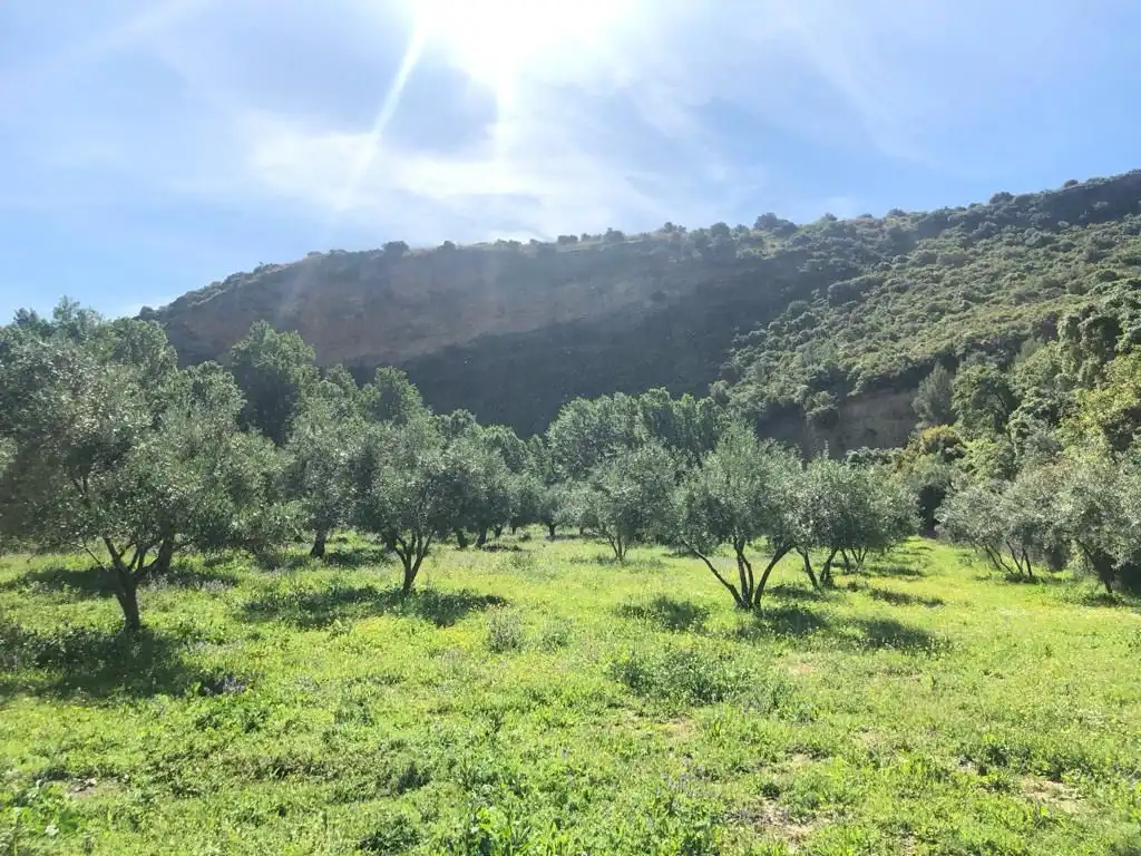 Terreno en venta en Jaén
