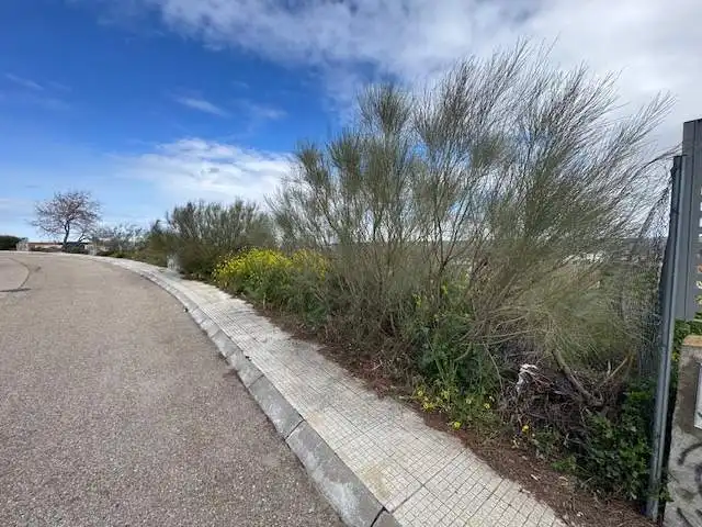 Terreny residencial en venda a MURALLAS DE LUGO, imagen 13