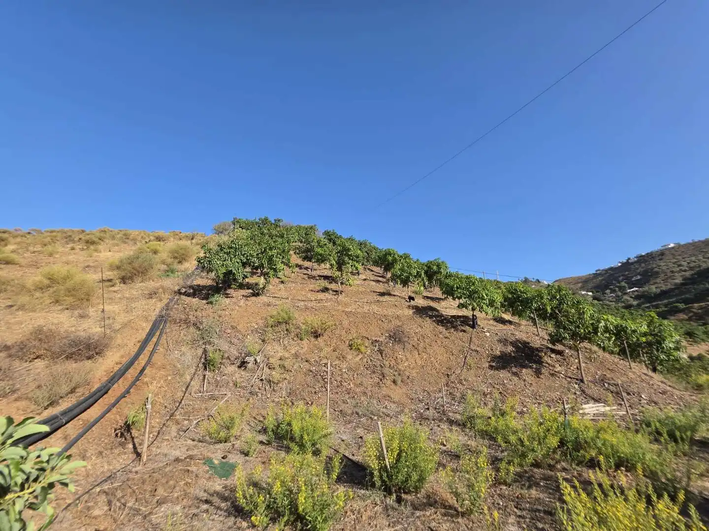 Finca rústica en venta en Benamocarra con Terraza y Piscina
