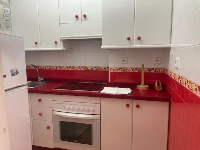 Apartments for rent in Avenida Gamonal, Parque de la Paloma