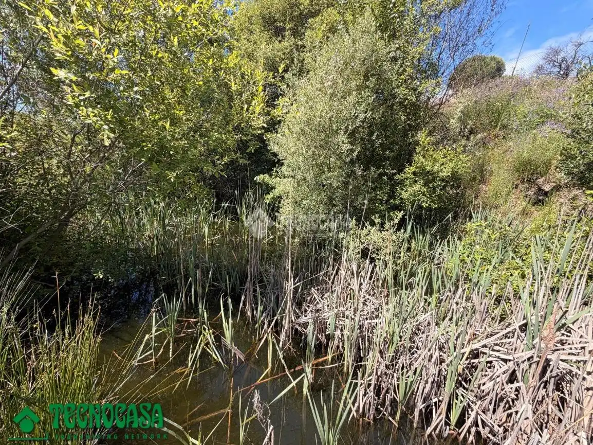 Land for sale in La Torre de Esteban Hambrán