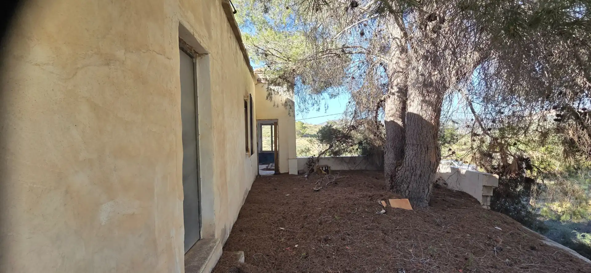 Vista exterior de Casa o chalet en venta en El Pinós / Pinoso con Piscina