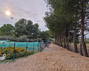 Jardí de Finca rústica en venda en Morata de Tajuña amb Aire condicionat