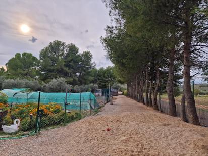 Jardí de Finca rústica en venda en Morata de Tajuña amb Aire condicionat i Calefacció