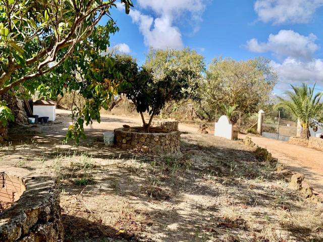 Finca rústica en Venta en  Olivar con espectacular Cortijo en Villanueva del Rosario