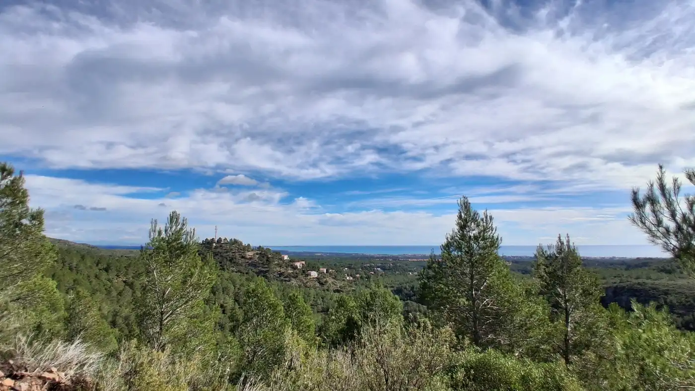 Vista exterior de Terreno en venta en Pratdip