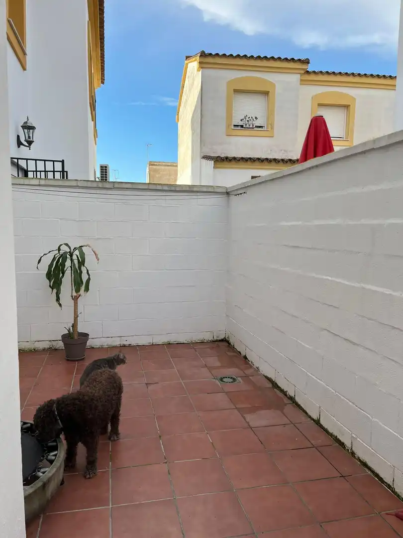 Garten von Einfamilien-Reihenhaus zum Verkauf in El Puerto de Santa María mit Terrasse und Möbliert