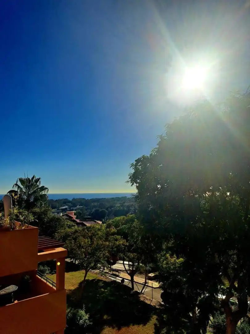 Vista exterior de Àtic en venda en Marbella amb Aire condicionat, Terrassa i Piscina