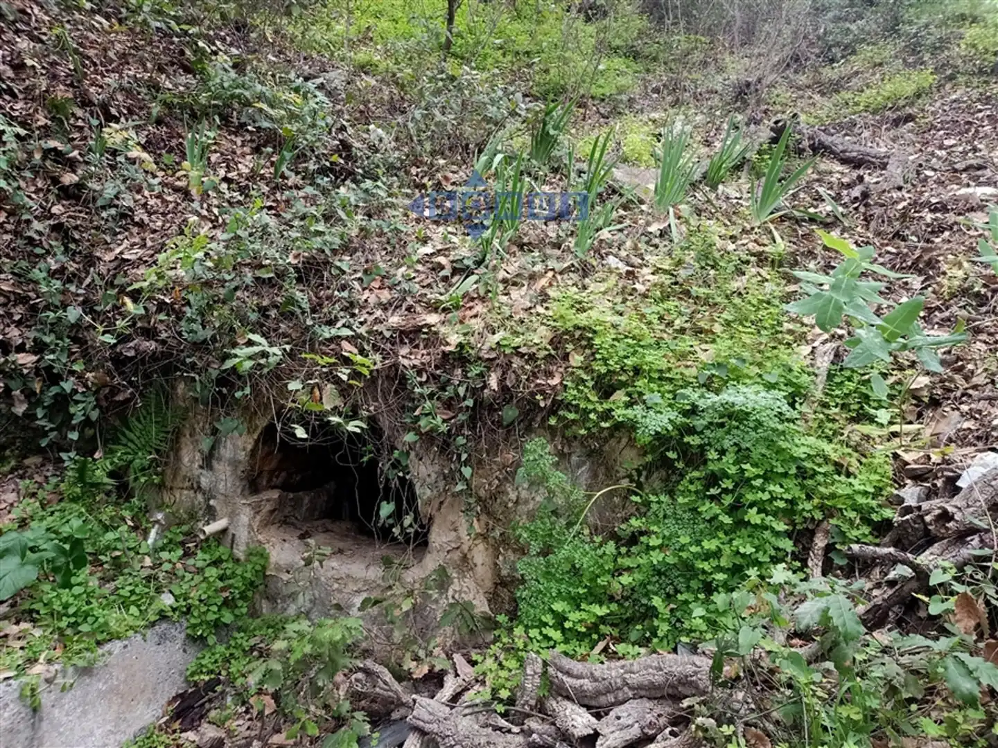 Casa rústica en venda a Algatocín, imagen 6